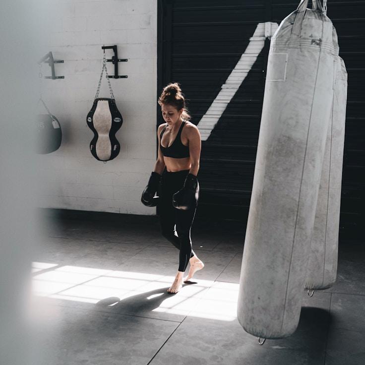 Modern gym interior with professional training equipment